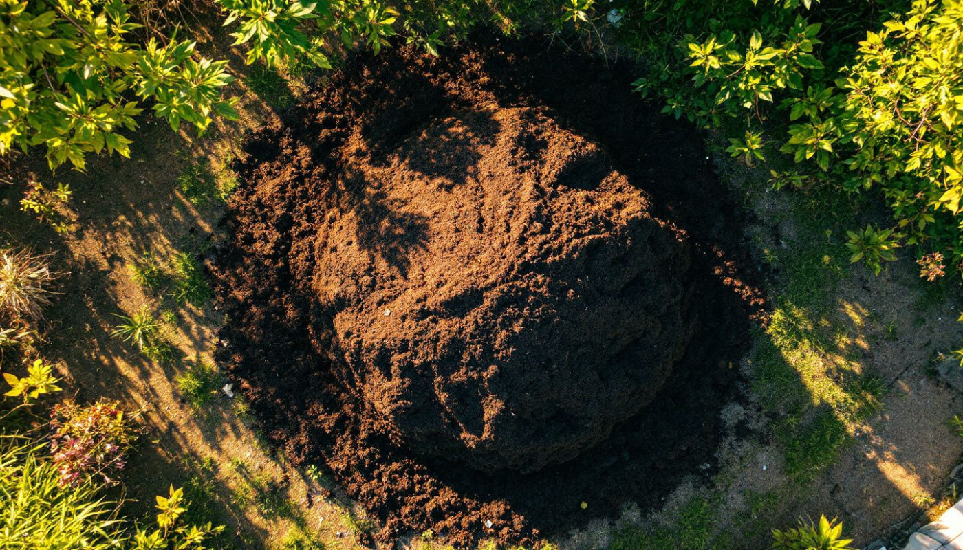 Les bénéfices écologiques du fumier de cheval pour les jardins familiaux